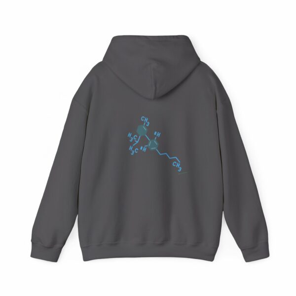 THC Chemical Type Hoodie - Image 26