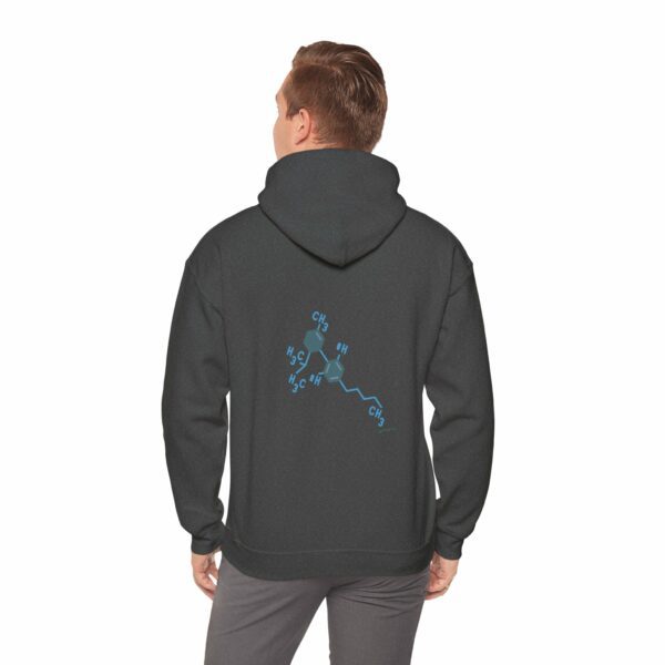 THC Chemical Type Hoodie - Image 4