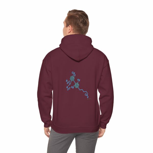 THC Chemical Type Hoodie - Image 8