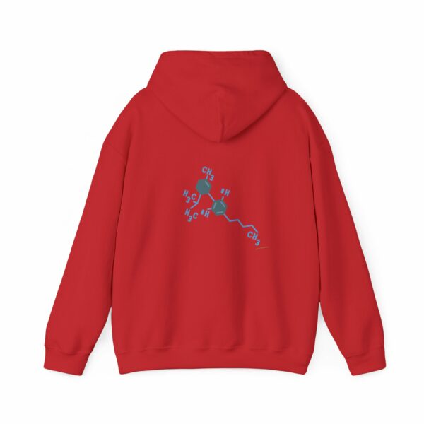 THC Chemical Type Hoodie - Image 18