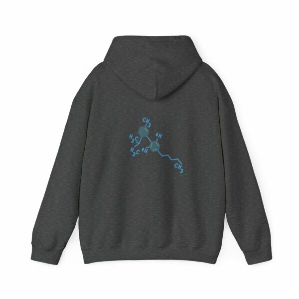 THC Chemical Type Hoodie - Image 2