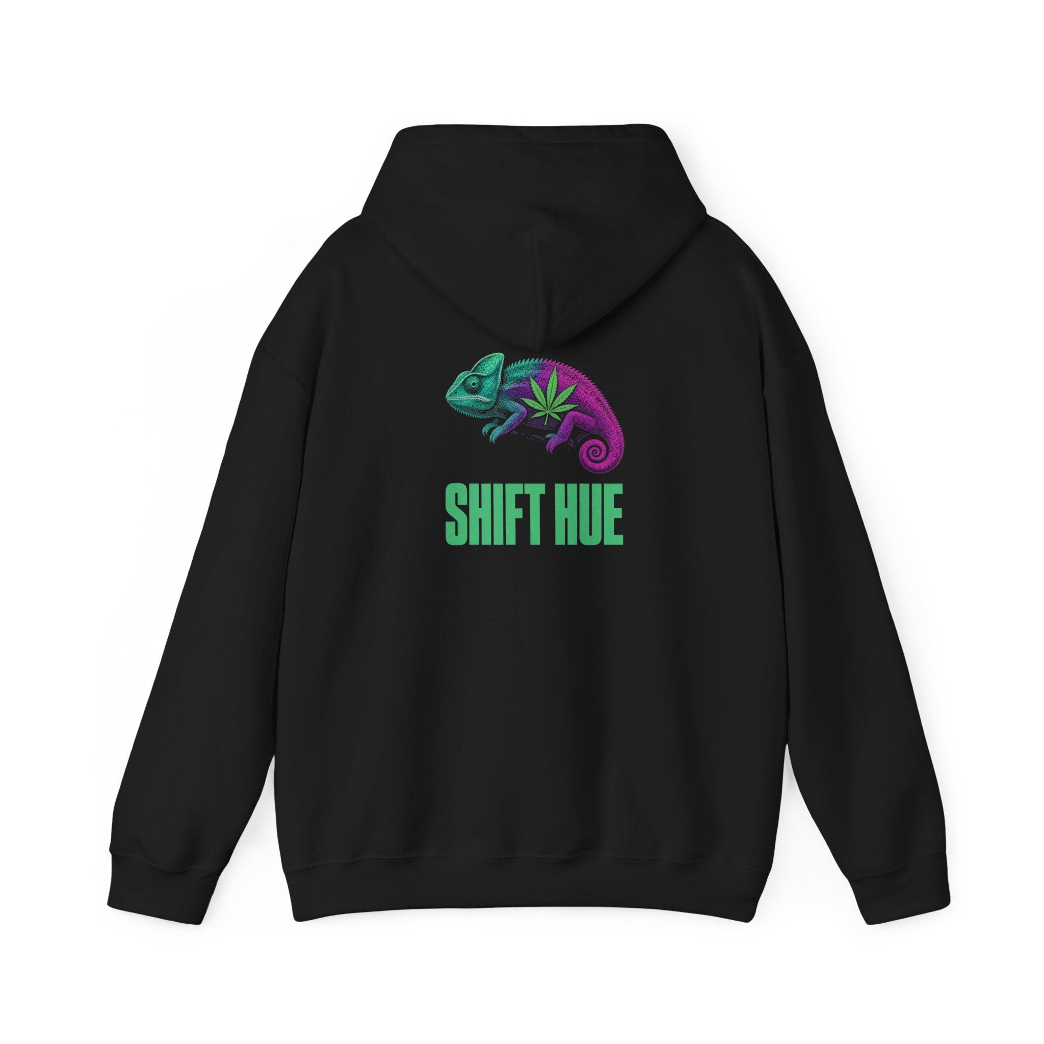 Shift Hue Hoodie