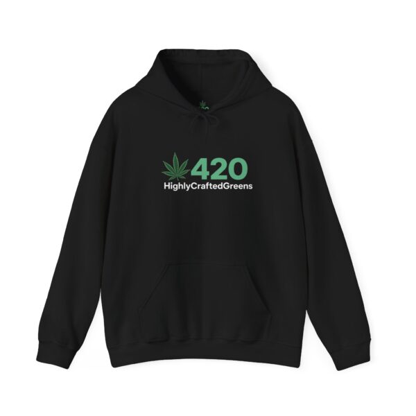 rainbow eagle hoodie
